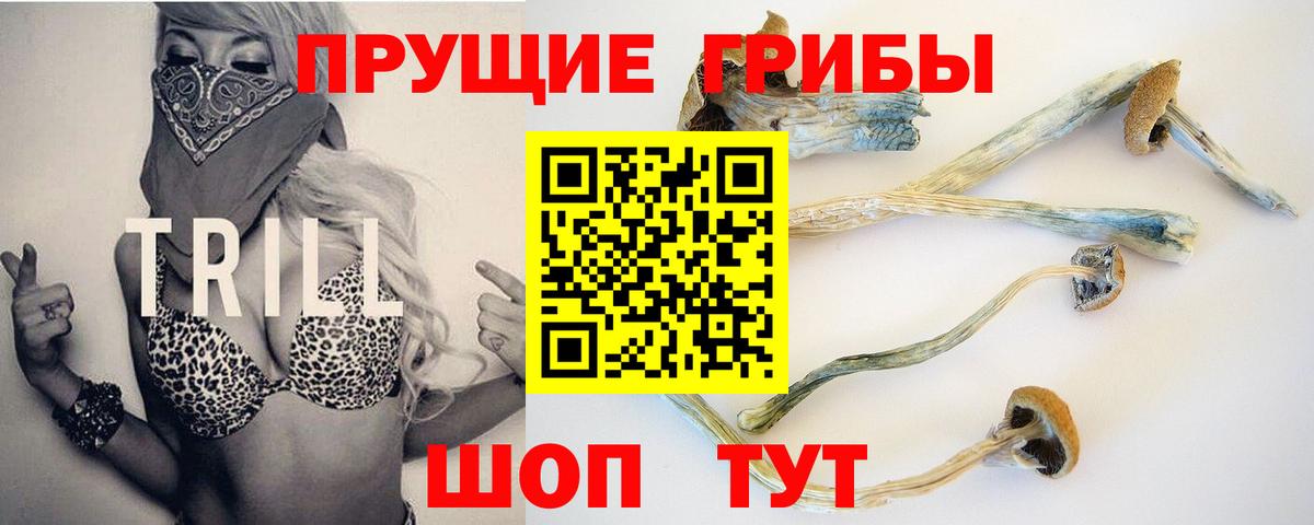 Псилоцибиновые грибы Magic Shrooms  Вход с VPN  Нижний Тагил 